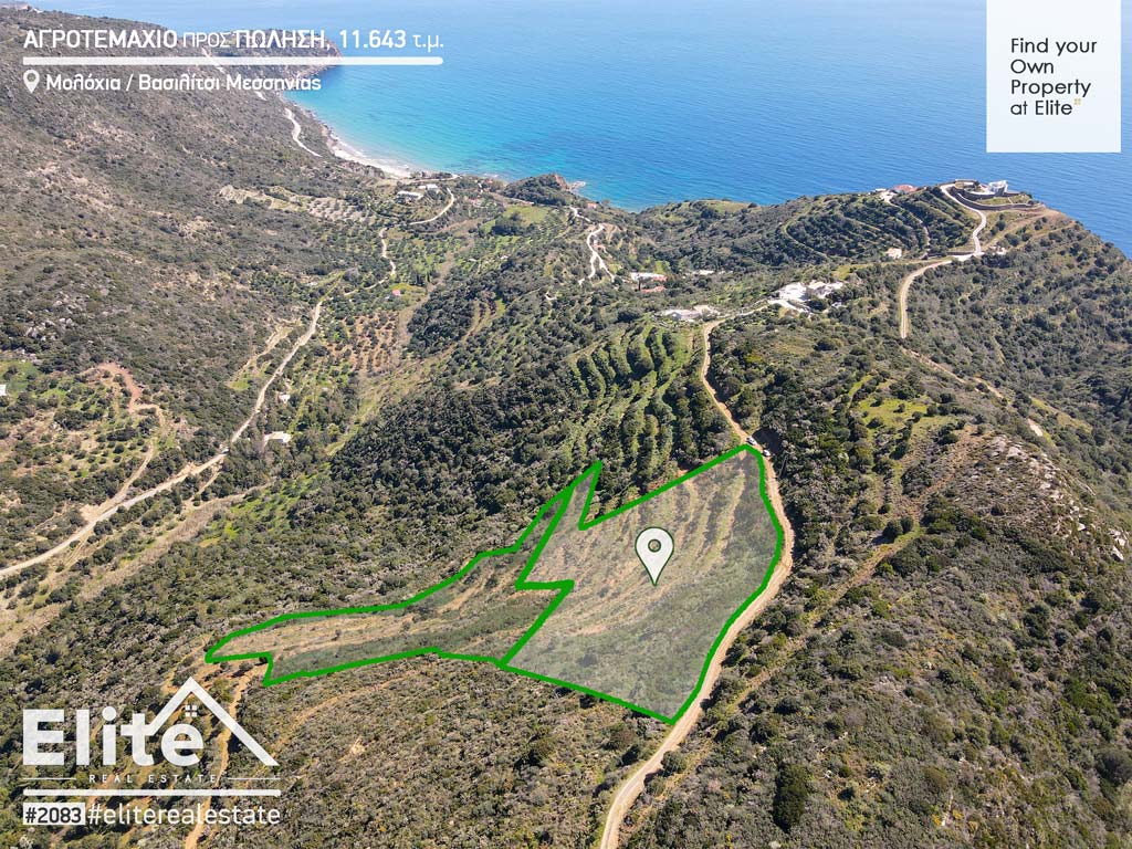 Land for sale in Vasilitsi (Koroni) # 2083 | ELITE