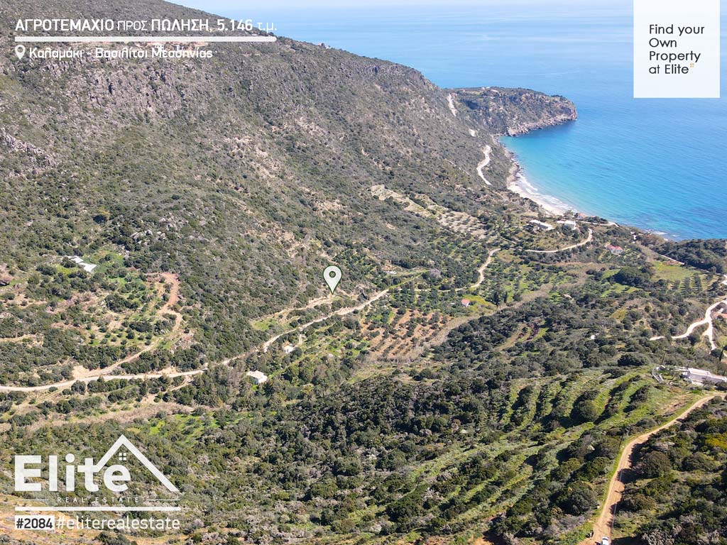 Parcel for sale in Vasilitsi (Koroni) #2084 | ELITE