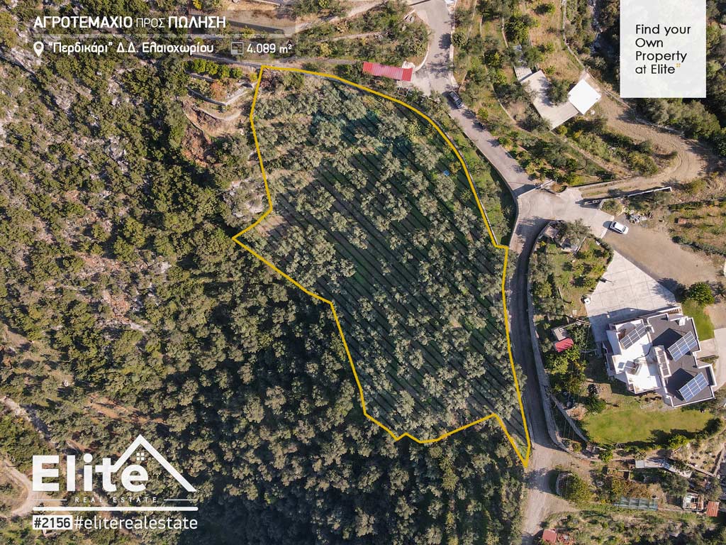 For sale, Plot of land, 4089 sq.m. Kalamata, Kerezenia | #2156