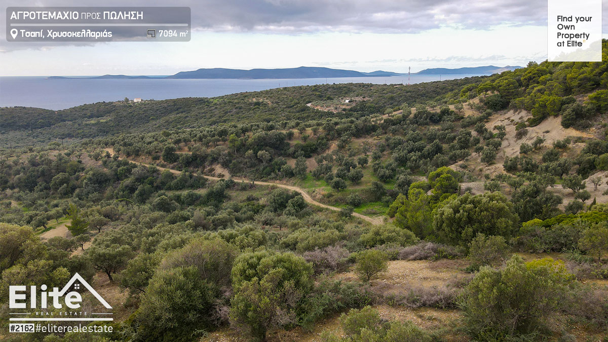 Verkauf eines Grundstücks in Tsapi (Chrysokellaria) - Koroni #2162 | ELITE