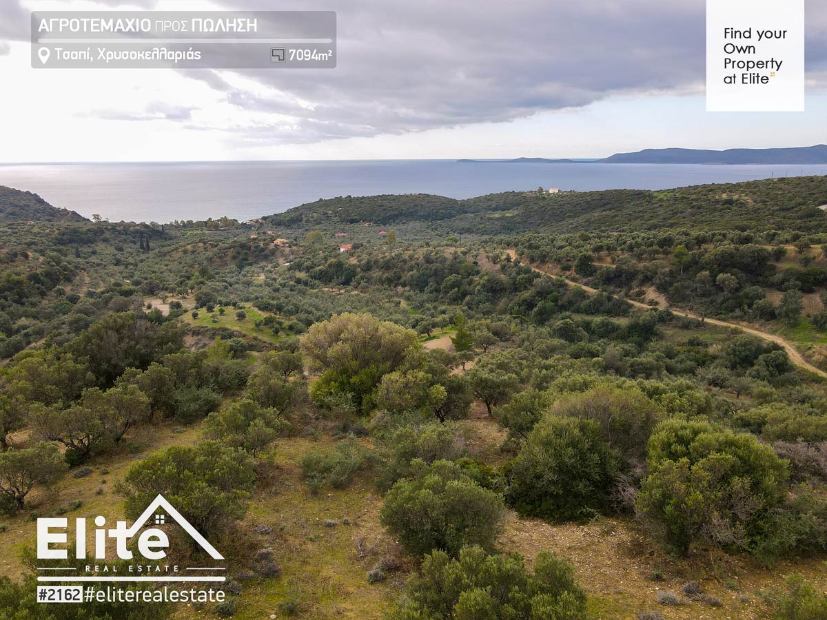 Vente, parcelle de terrain Chapi, 7094 m² (Chrysokellaria) #2162 | ELITE