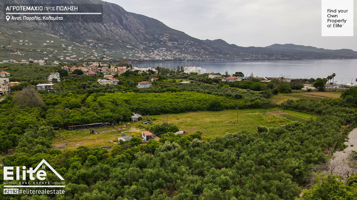 For sale plot of land 12,500 sq.m Kalamata (East. coast) Ref. 2192 | ELITE 1 For sale plot of land 12,500 sq.m Kalamata beach # 2192 | ELITE