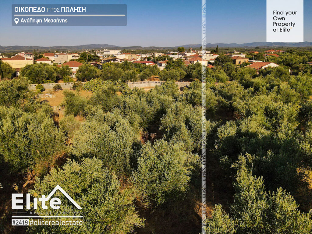 Πωλείται οικόπεδο, Ανάληψη Μεσσηνίας 502 τ.μ. #2419